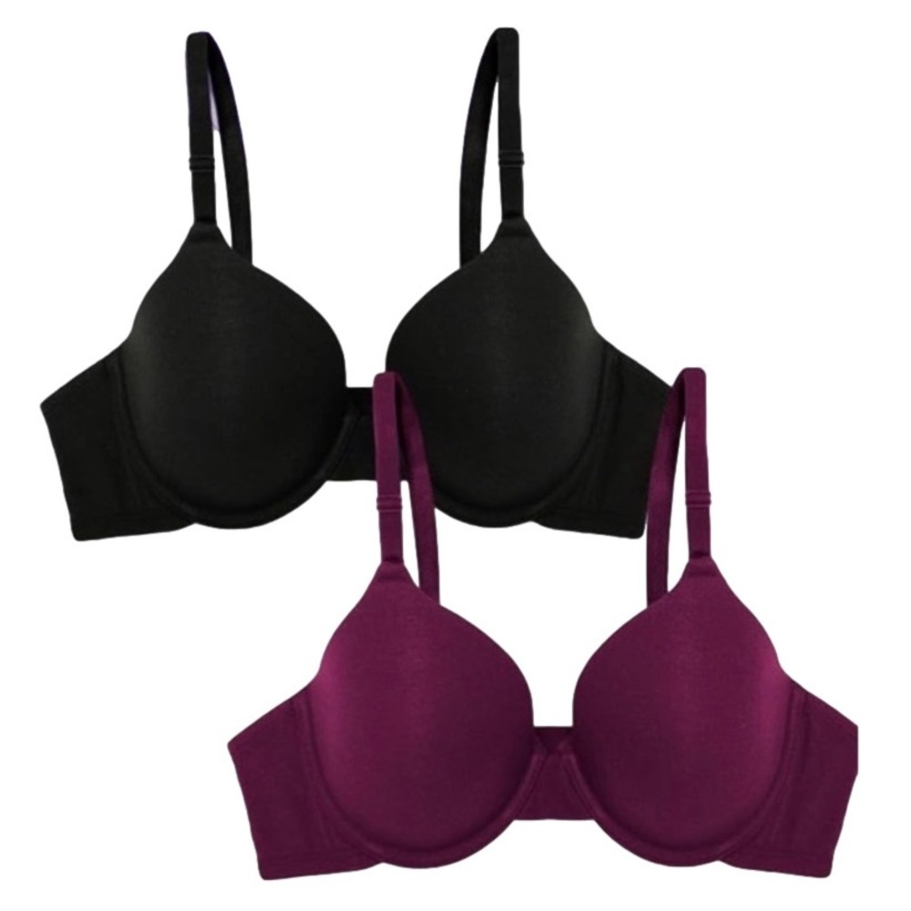 Fruit of the Loom 2 pc Underwire Cotton T-shirt Bras 40C